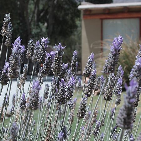 טיליקארה Al Sereno Hotel Y Spa מראה חיצוני תמונה